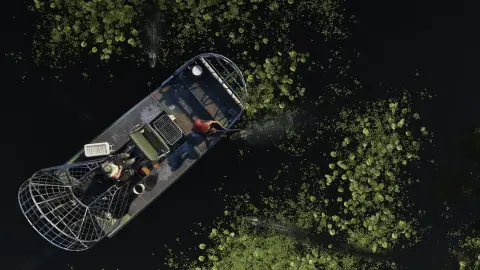 Grassrivers in an official GTA 6 screenshot, second look