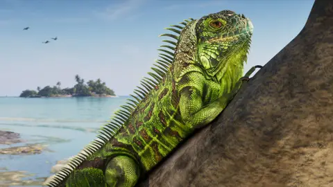 A green iguana on a rock above turquoise water, a palm islet on the horizon